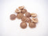 Natural Tan Spiral Sundial Shells - Pack 10, 25 and 50